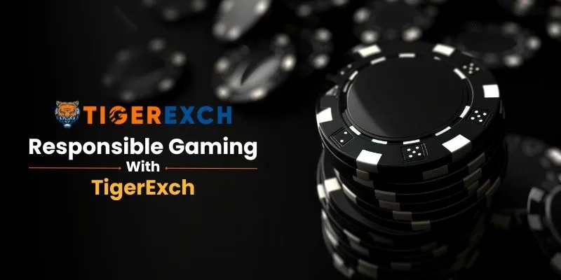 Responsible Gaming | TigerExch: Play Smart and Stay Safe